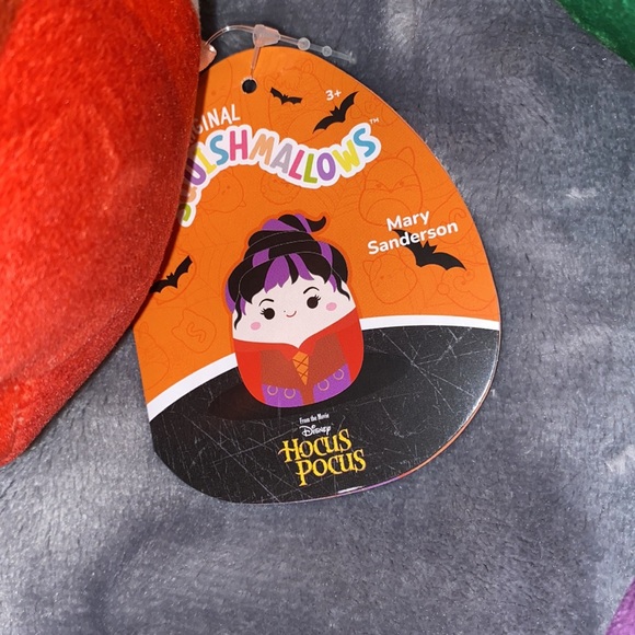 The Sanderson Sisters (Hocus Pocus) 5” Halloween Squishmallow Set. - Picture 6 of 8